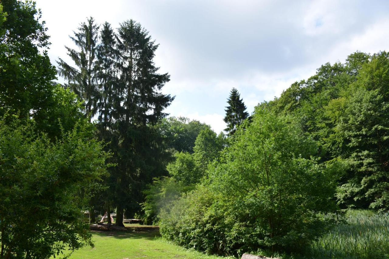 Bungalows Am Waldessaum Bei Hohenzieritz Экстерьер фото